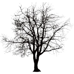 60557135b63d5fc81d0c2b755883fe04-image