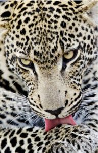 c3a3600ce61dfcb2b8c29e5ee10ac8f5