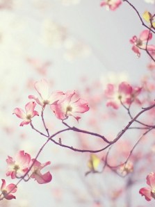 cdad1ae438f16c24af903bcc5663c9a5