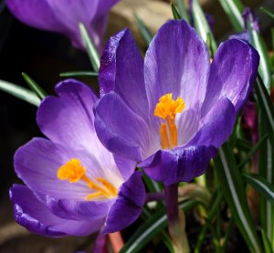 c54c076b2a45979915e7121d0f04c07e