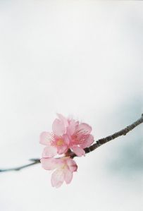 0c87579a05a6c90ddba65dafb4c08dfb