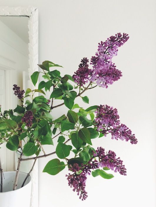 Processed with VSCOcam with f2 preset