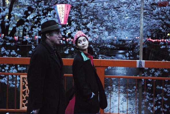 cherry_blossoms_rudi