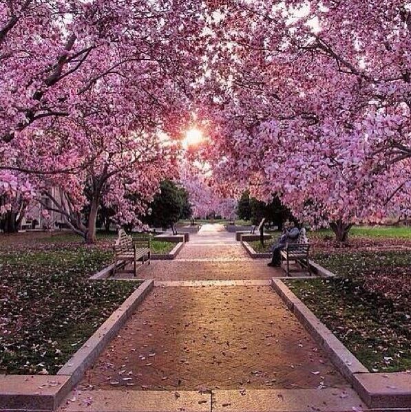 d59bb89a4fbb1793e7e2b20939eb15be