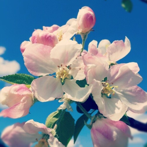 f4102b758b3d6f08933a6c7fe26a4335