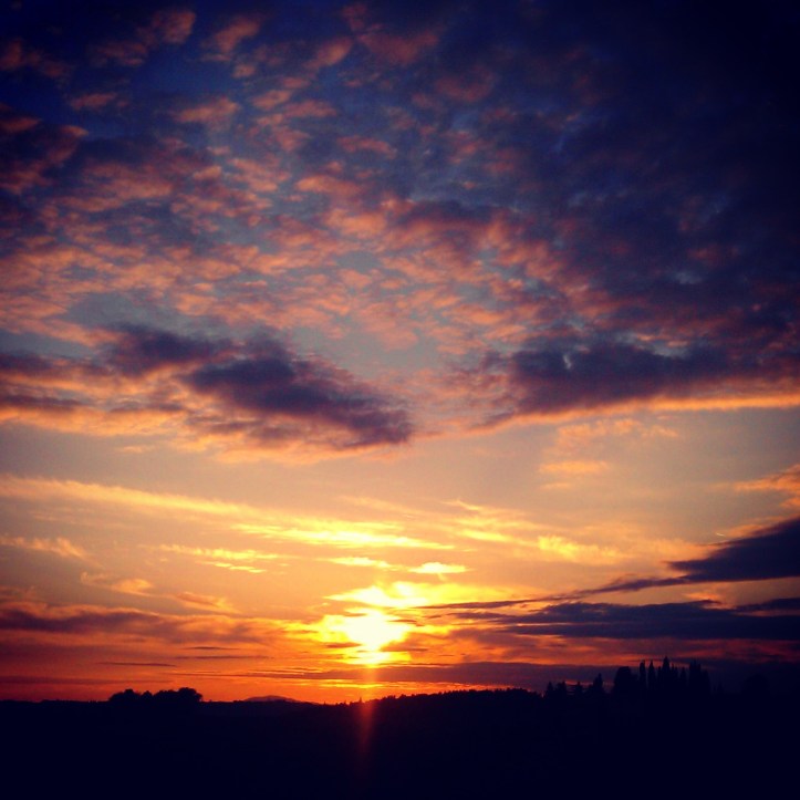 solnedgang Salvadonica