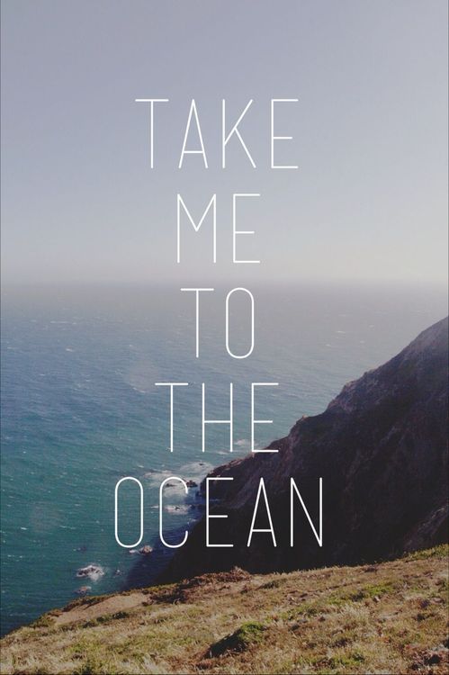 da1830086d43ea3121c5d92beff2bc34