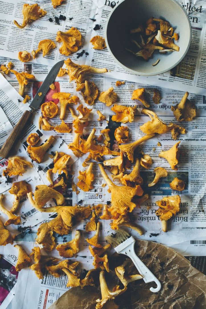 30f3366818a0c7fd20634e62f4425dbc