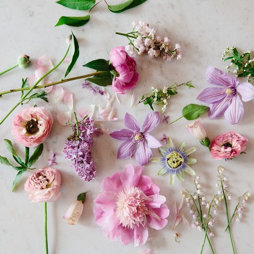 tumblr_mml4lbtVvM1r78kbwo1_500