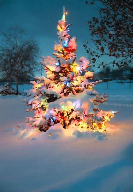 cef8603b79526a5b88dc5705b41b51d1