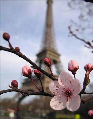 478a7eec689936d9ad3a9cd082632a67