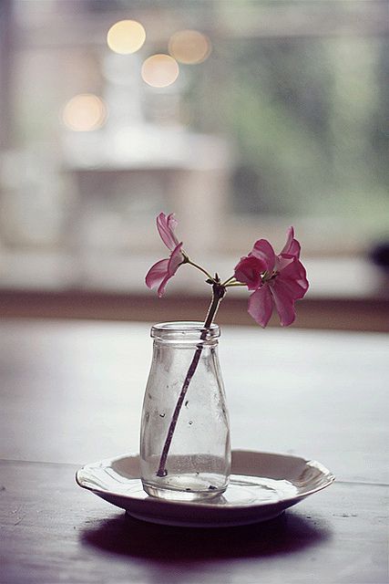 a06eb2adc9ed21b44b84e9a4ca3728f1