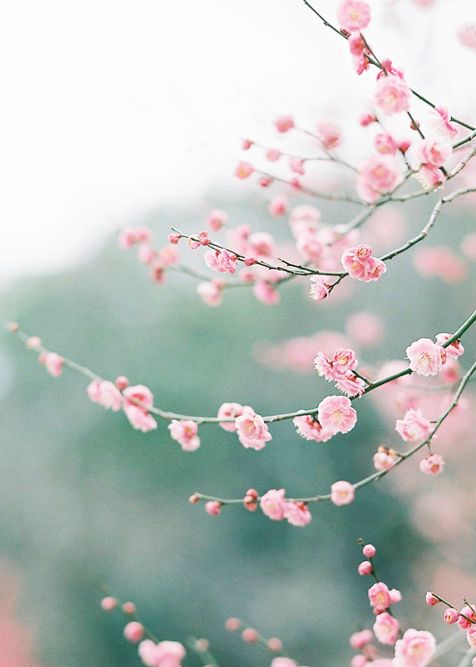 f1fcd394d13523a6a568129f2ac02e34