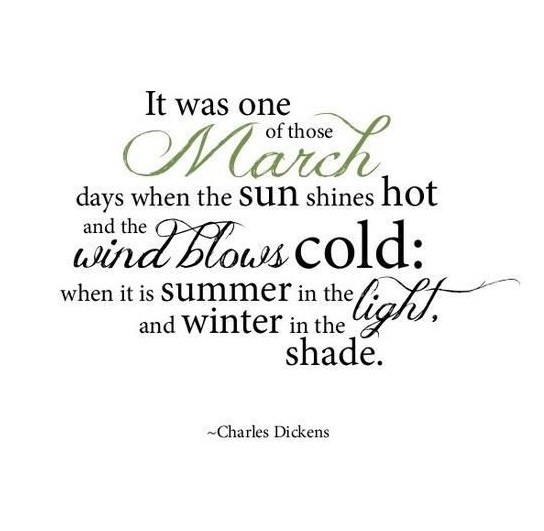 60284a3149269fde8c48084c9e4c8ec1