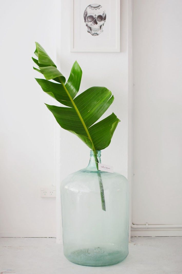 56ee44a2a7aa6012ce0065ac73e6c20c